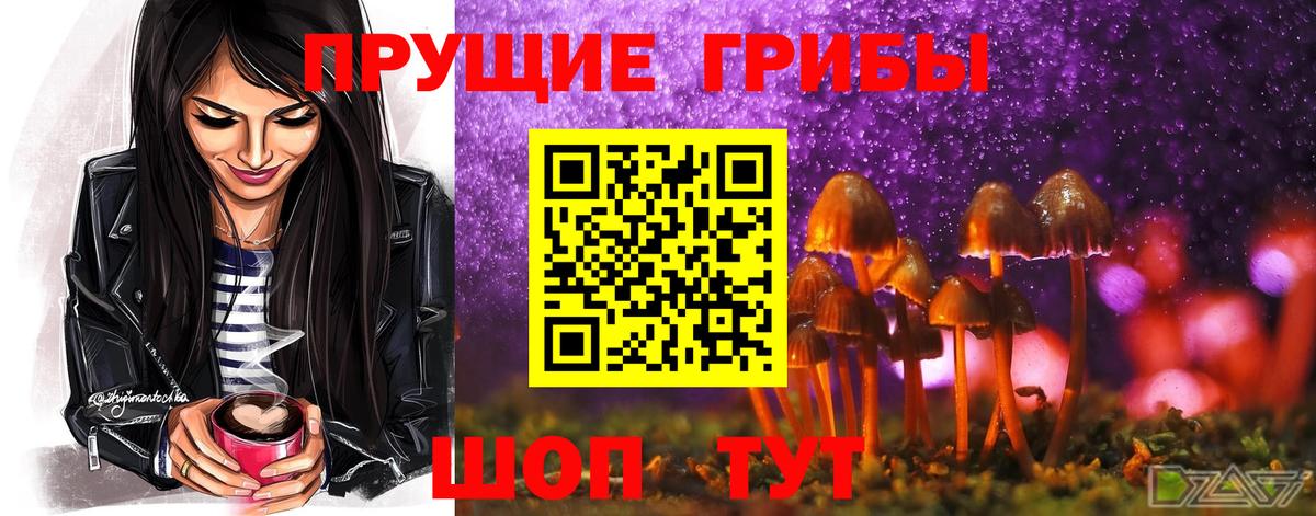 Прохладный  Псилоцибиновые грибы Magic Shrooms  цена наркотик  Вход с VPN 