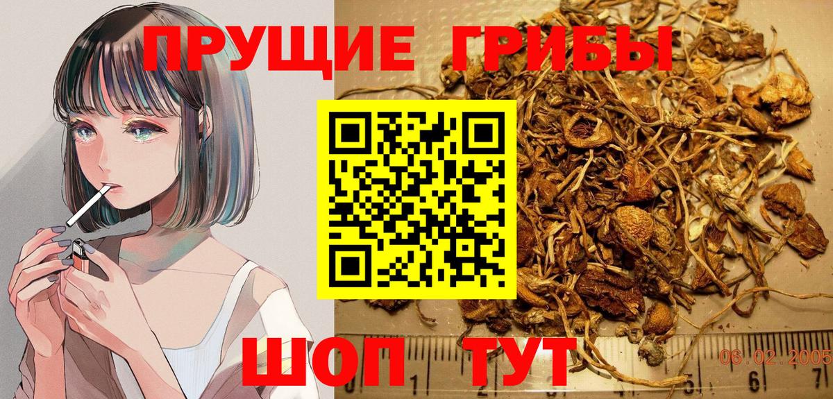 Галлюциногенные грибы Magic Shrooms Прохладный